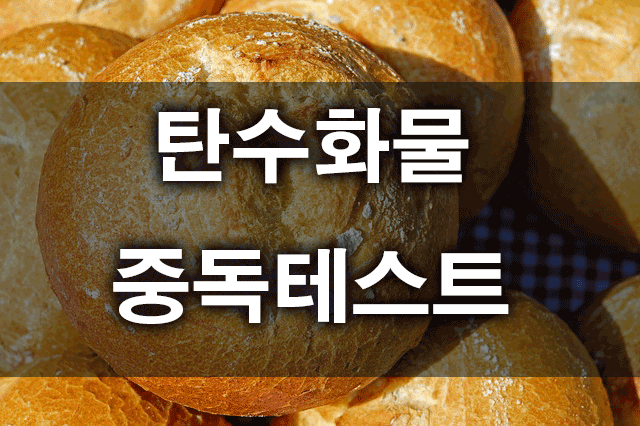 탄수화물중독 테스트