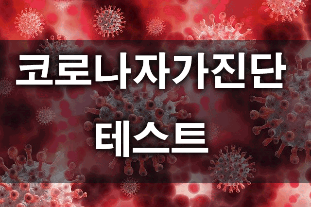 코로나자가진단테스트