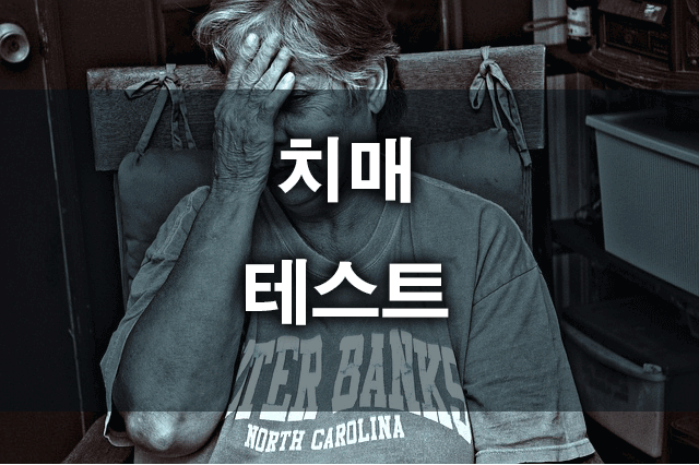 치매테자가진단테스트