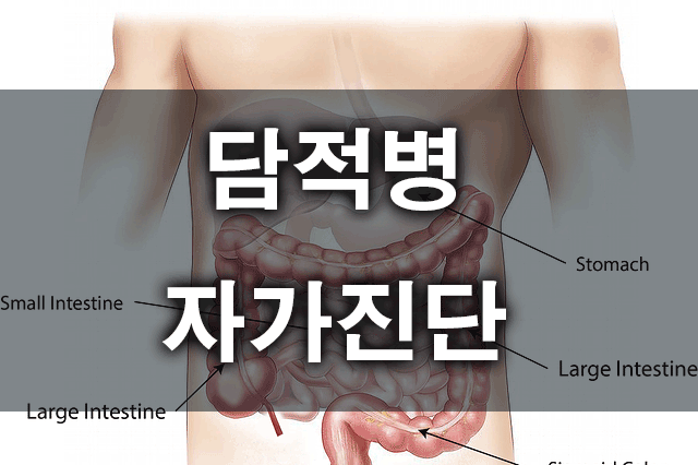 담적병자가진단