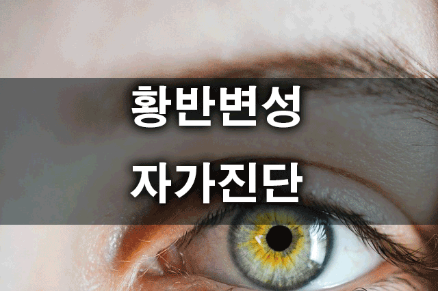 황반변성검사로고
