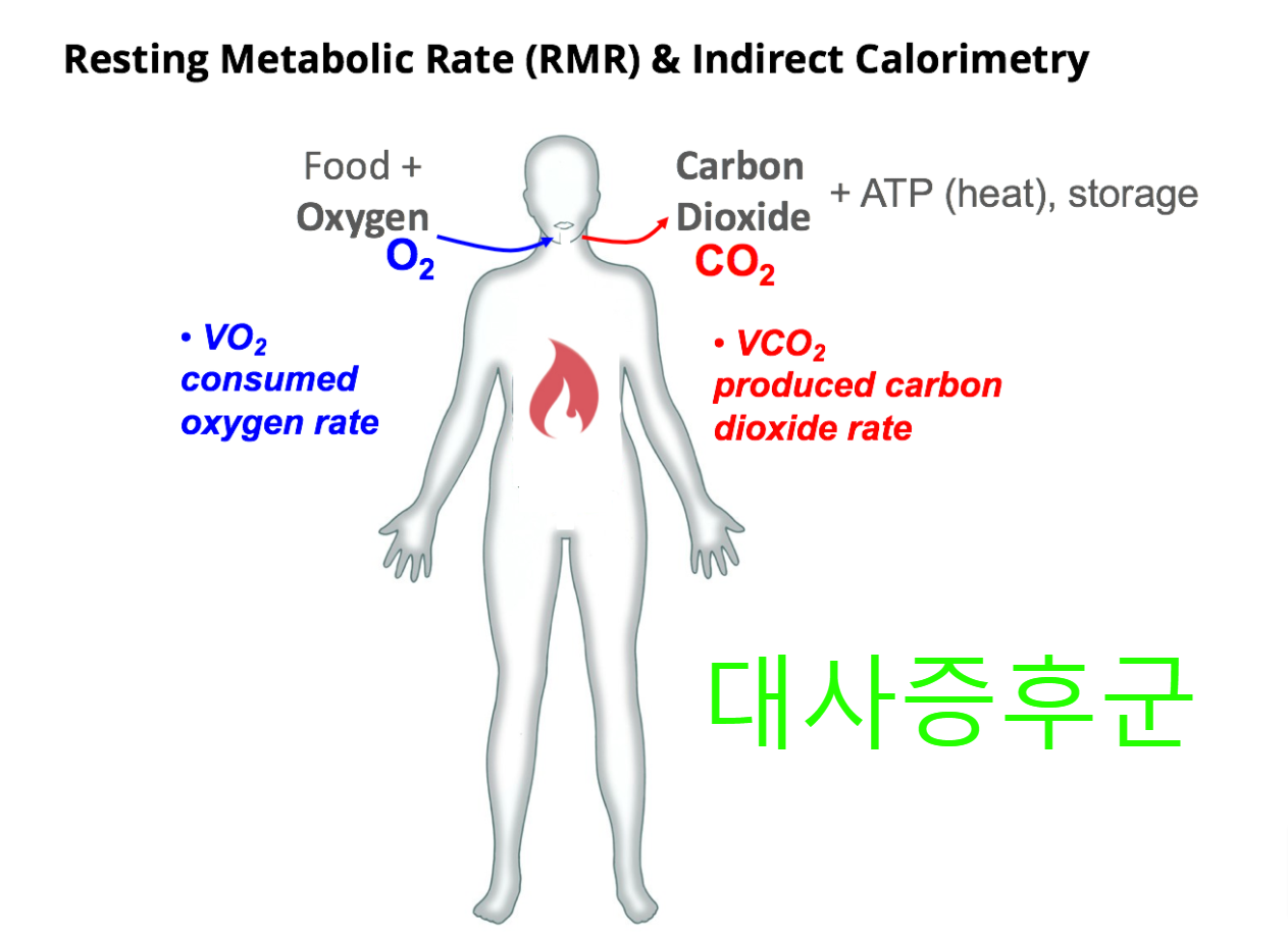 안정시대대사율과 간접 칼로리측정 이미지