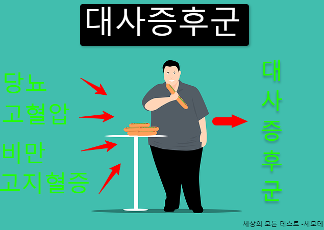 신진대사관련질환 복합적 동반