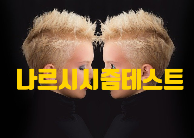 나르시시즘 테스트