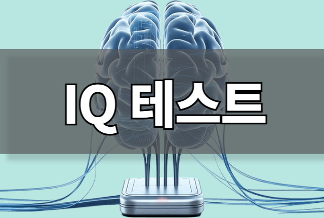아이큐테스트 — 언어·수리·논리·공간지각 4영역 무료 IQ검사