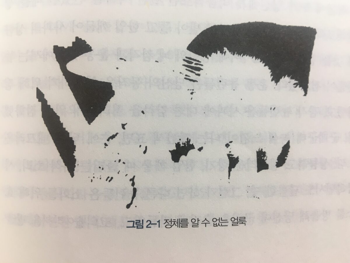 정체를 알 수 없는 흑백 얼룩 — 무엇이 숨어 있을까?